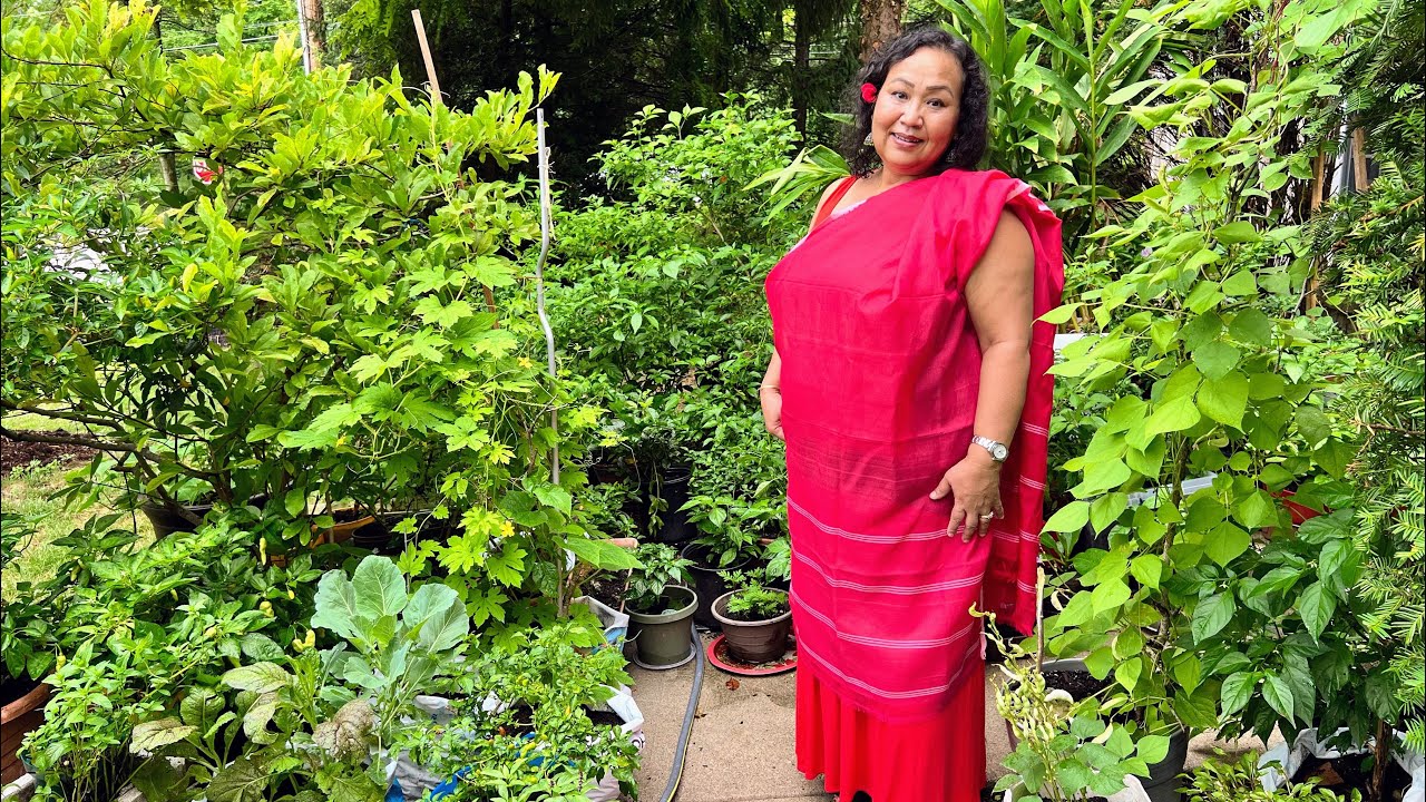 My Kitchen Garden Update(July 17, 2022); Cincinnati , Ohio 🙏🙏🙏🙏