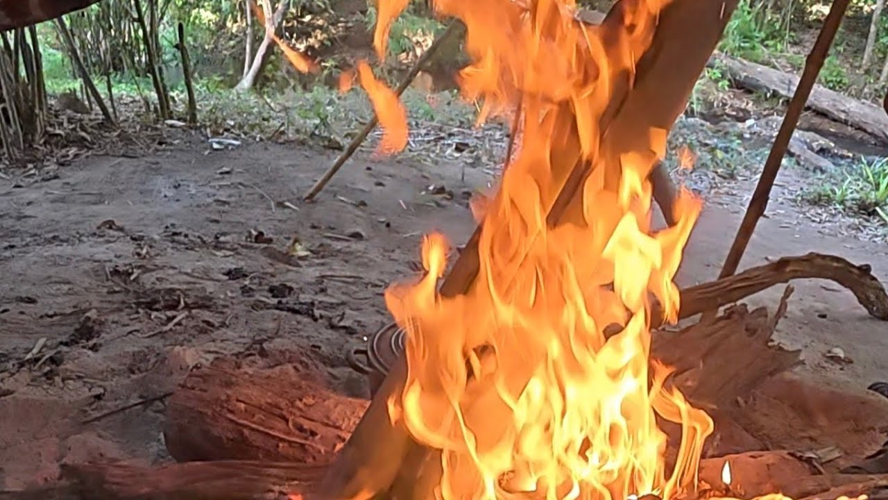 GÀ NẤU TRONG ỐNG TRE VÀ CHÁO QUÉ LÀM LAI RAI.