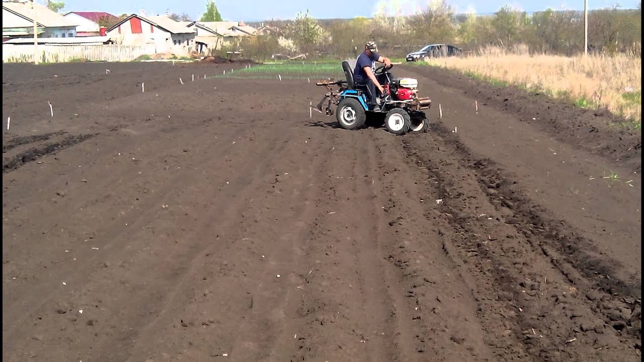 Прополка междурядий картошки миником.