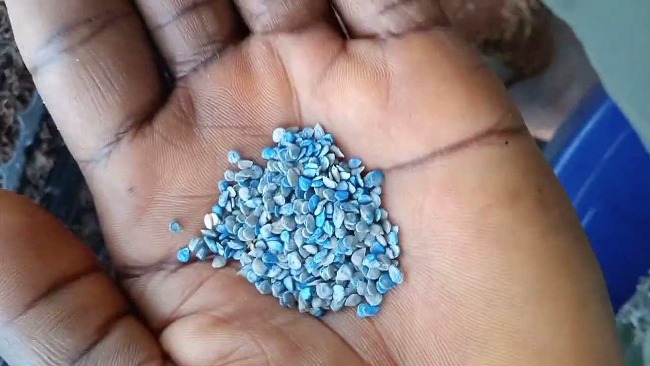 How To Plant Your Nursery Seeds (Tomatoes) Using Seed Tray