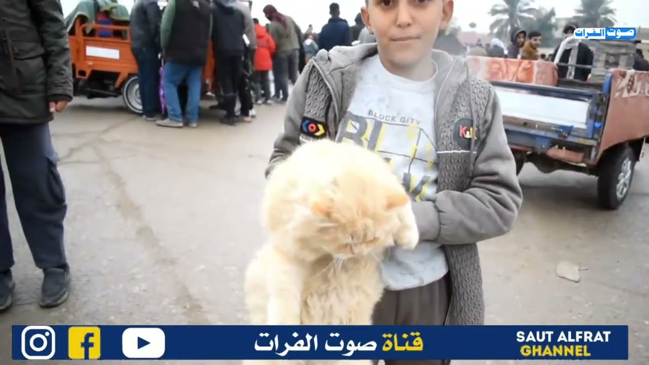 من سوق الغزل في قضاء المسيب