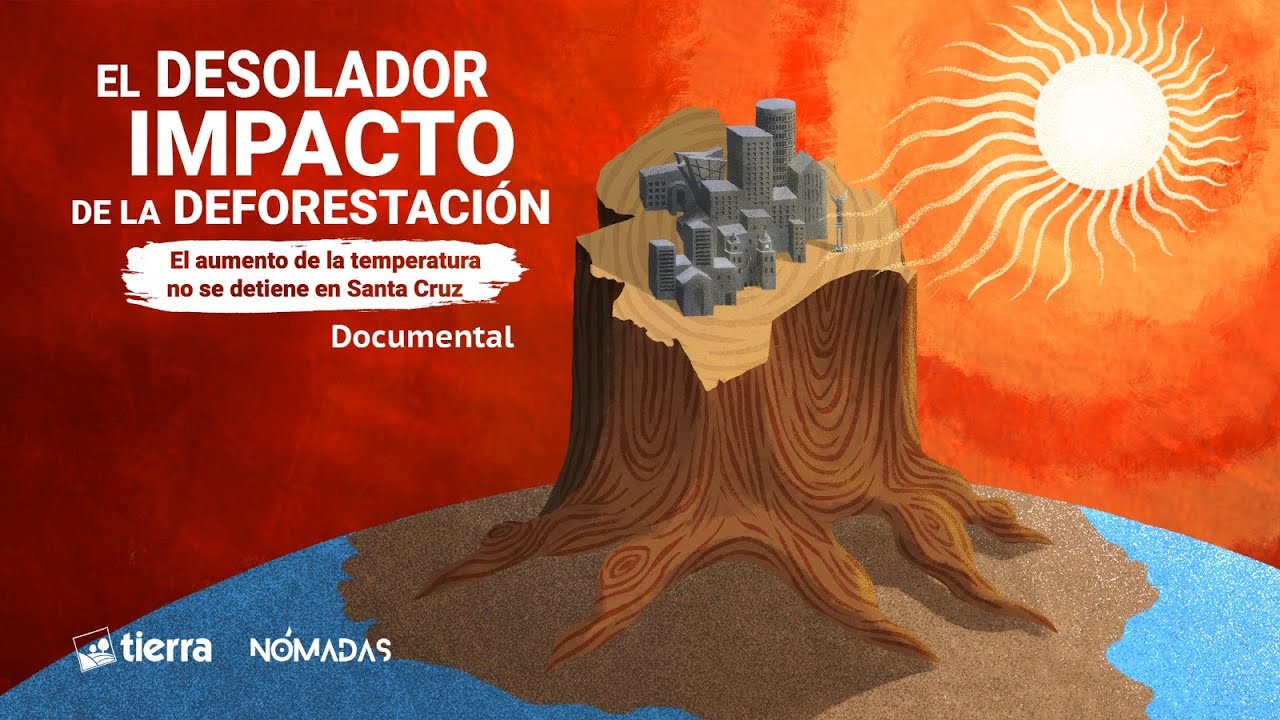 El desolador impacto de la deforestación en Santa Cruz, Bolivia - Documental