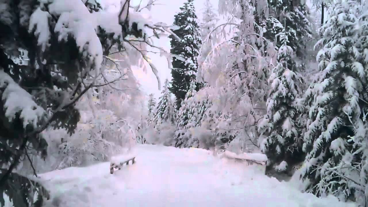 Wonderful Nowica - szpilkowo.pl