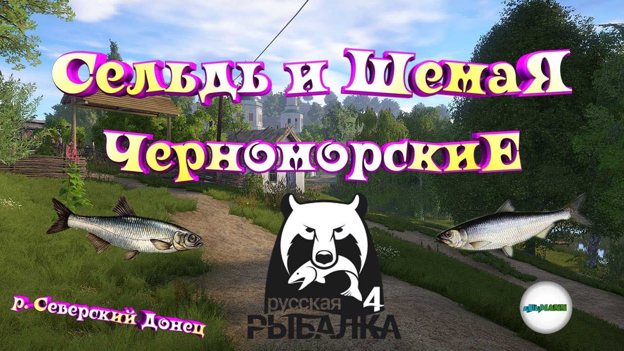 🔴РУССКАЯ РЫБАЛКА 4 (RUSSIAN FISHING 4)🔴 - СЕЛЬДЬ И ШЕМАЯ ЧЕРНОМОРСКАЯ. Р. СЕВЕРСКИЙ ДОНЕЦ.