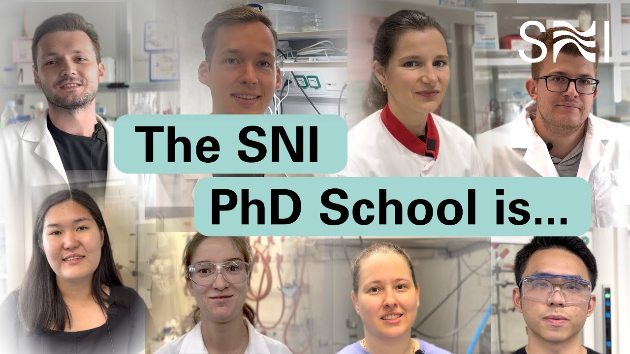 What makes the SNI PhD School special?