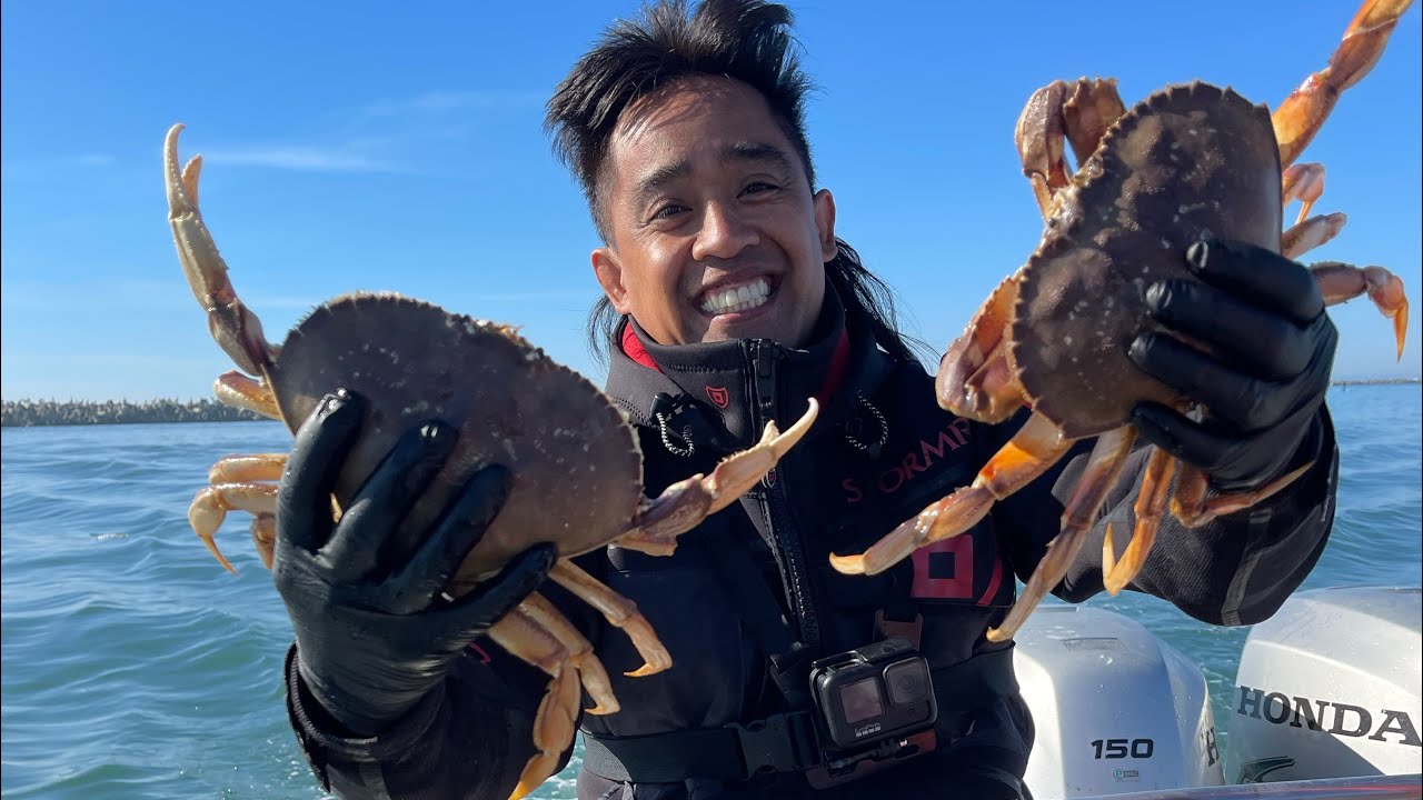 Huge Dungeness Crab out of Half Moon Bay (November 2023)