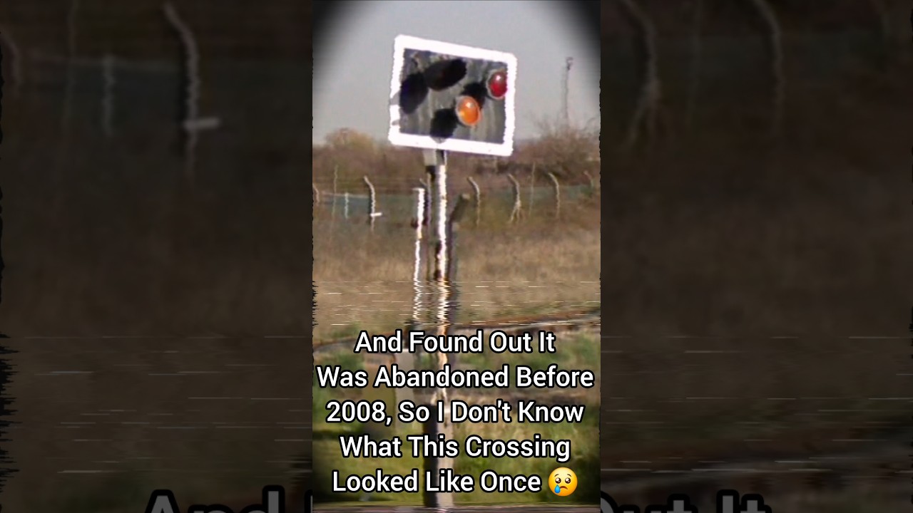 London Gateway Port Level Crossing  Is A Mystery... #levelcrossing #train #abandoned #britain #sad