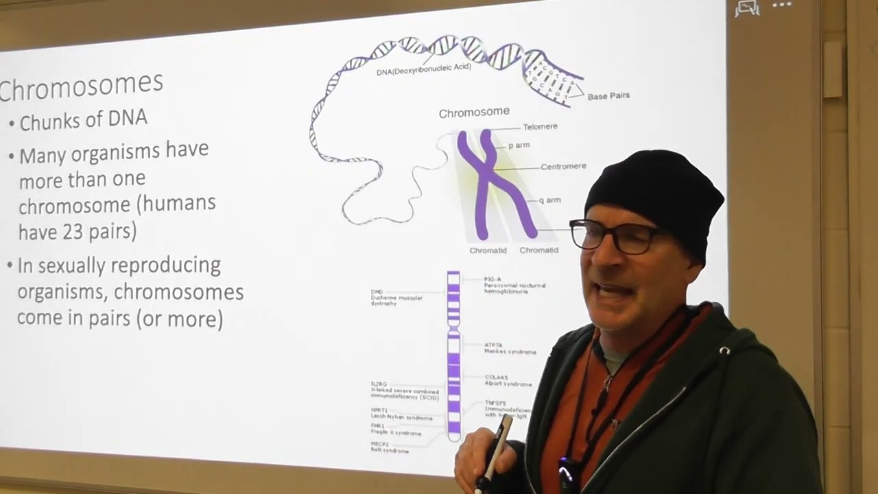 Fri. 2/6 - More Vocab and Non-Mendelian Genetics 1