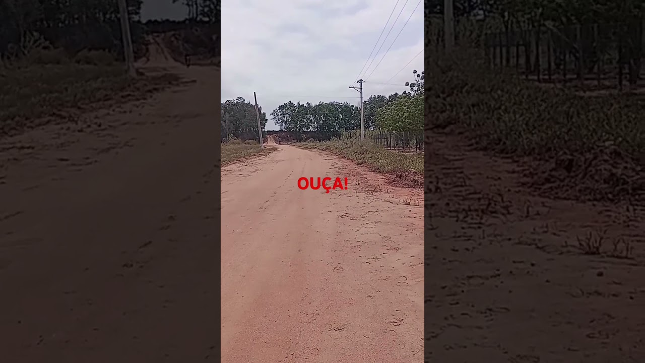 OU&Ccedil;A ISSO !                                  #motivacional #reflex&atilde;o #coisasdaro&ccedil;a #bicas