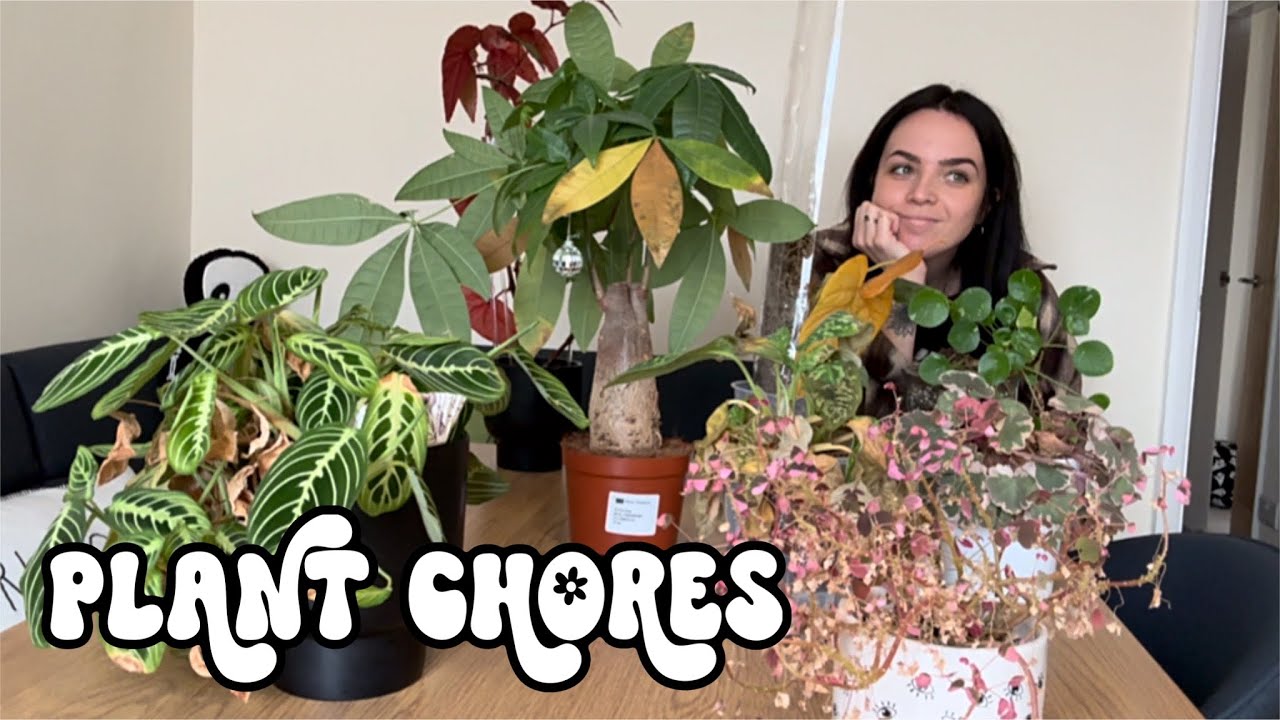 Finally caring for some neglected plants after I moved house! 🏠🪴 Low Energy & Minimally Edited 🫶