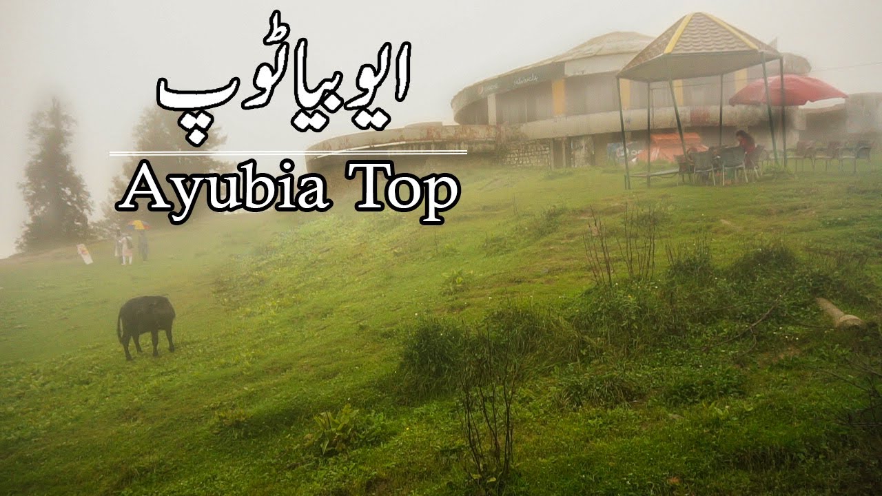 Ayubia Trip | Murree Galiyaat | Travel Pakistan
