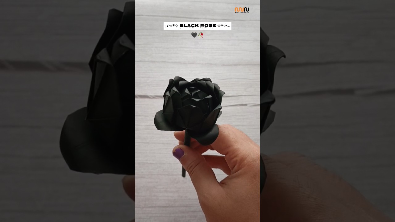 DIY Cute Paper Rose🖤🥀| Origami rose |  Black rose #shorts #ytshorts #craft #gift