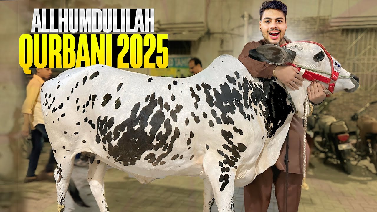 Alhumdullilah Qurbani Ka Janwar leliya 😍1st day Of Eid🙌🏻