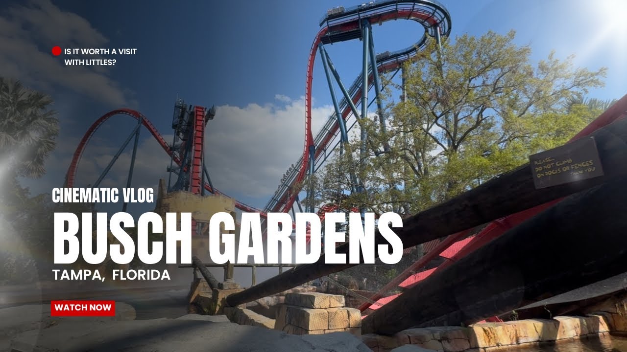 Busch Gardens Tampa, FL!! Is it worth taking small kids? 😱😬
