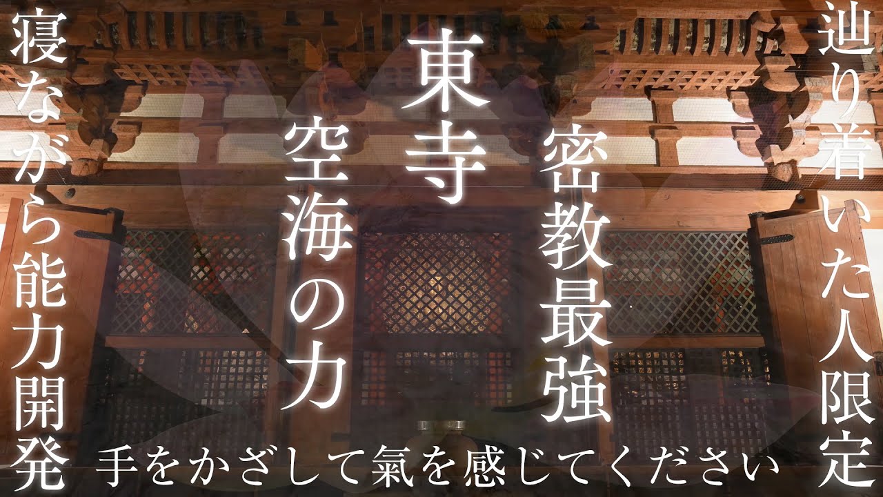 【超強力仏教寺院 東寺】川の音を寝ながら聞くだけで心身を浄化しエネルギー体を修復・強化する最強密教波動のパワースポット自然音【弘法大師 空海のチカラが残る真言宗の総本山 リラックス 癒し ヒーリング】