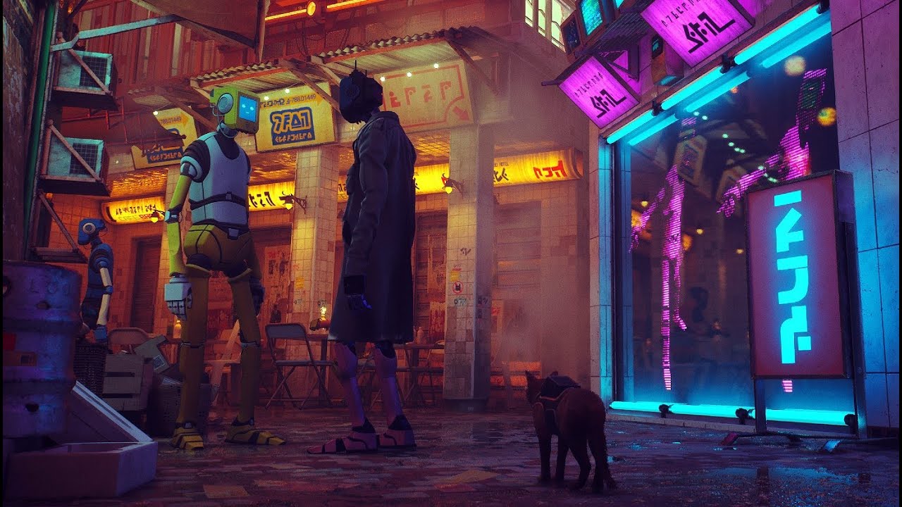 حل الغاز \ لعبة القطة \ stray