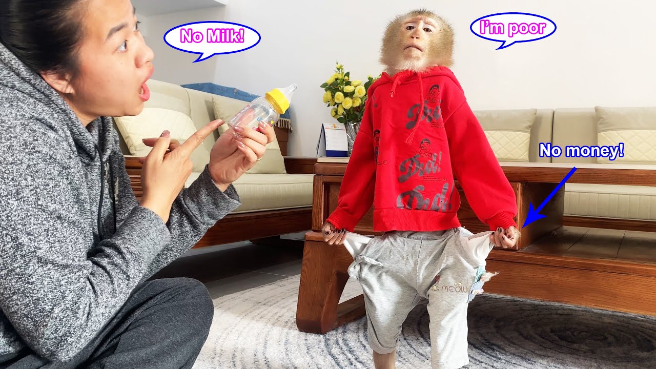 Monkey Lyly had no more milk to drink because she had run out of money in her purse, and then...