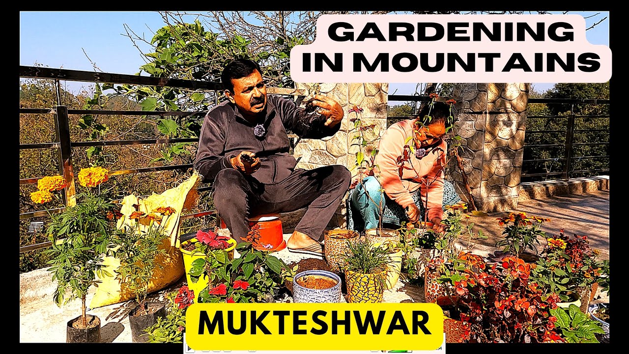 Finding Joy of Gardening in Mountains  | सपनों के घर मुक्तेश्वर में बागवानी, सच में यही है जीवन आनंद