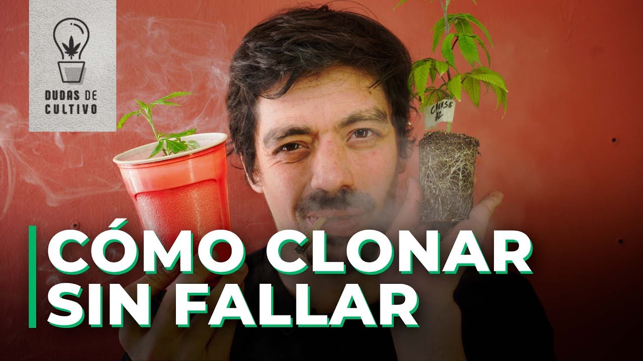 OBT&Eacute;N CLONES SIN FALLAR