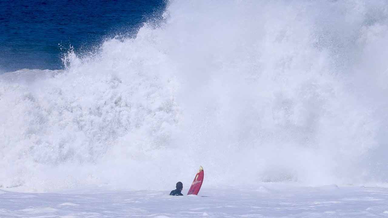 REDEMPTION SESSION AT PUERTO ESCONDIDO AND  SHARK ENCOUNTER 