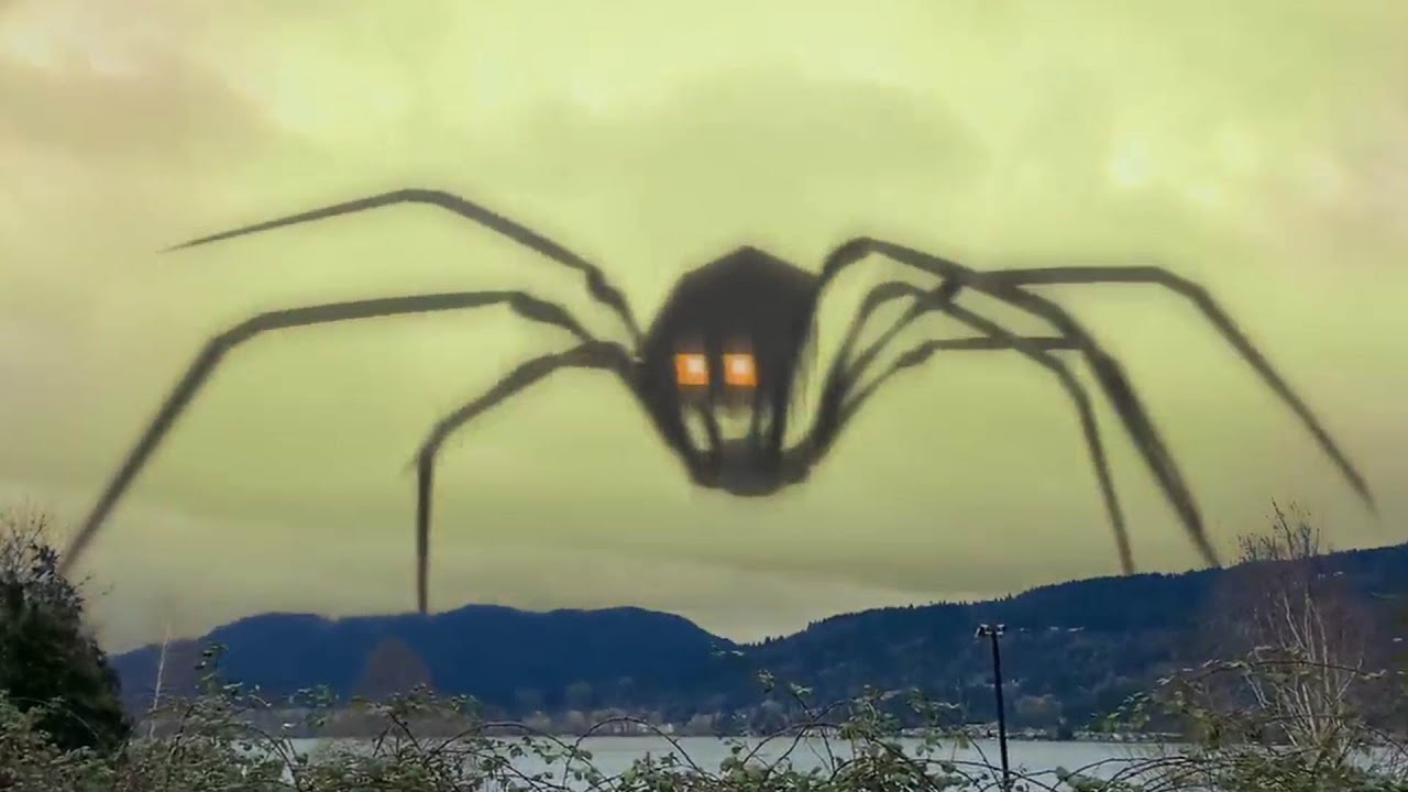 House Head in REAL LIFE!