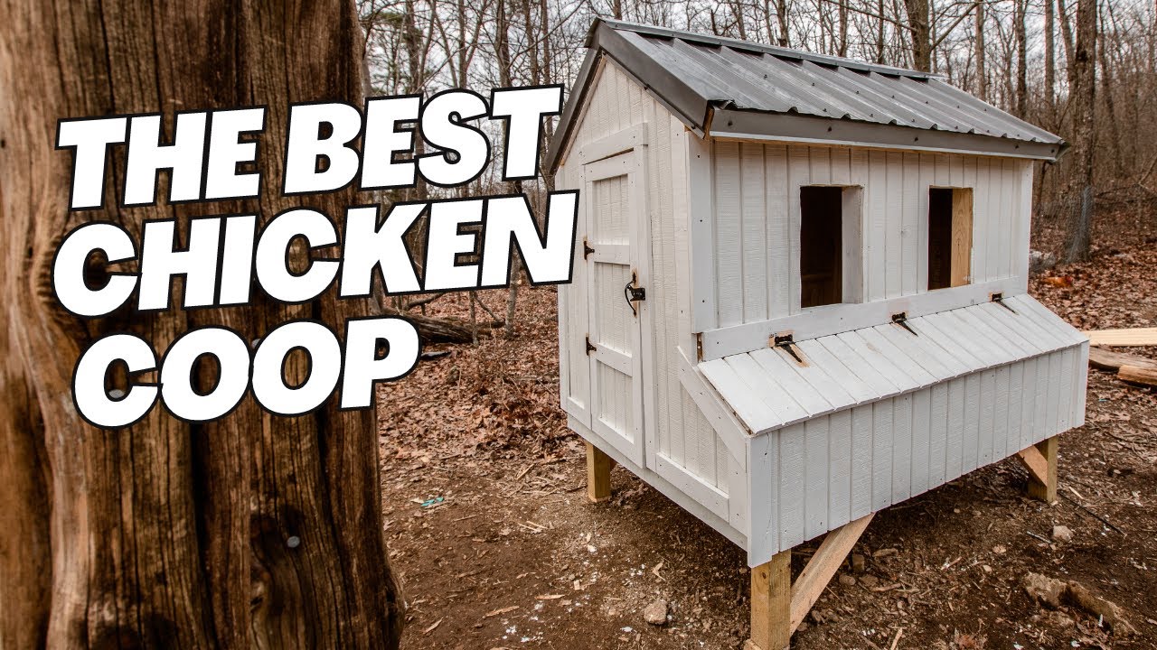 Building a Chicken Coop? It's Way Easier Than You Think!