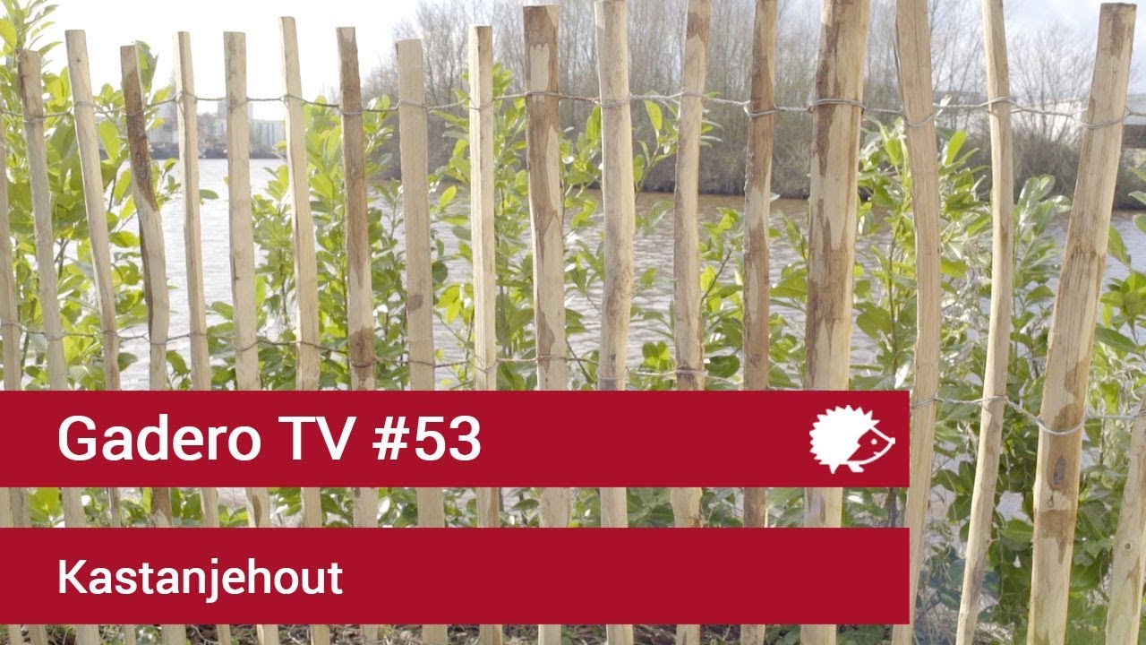 #53 Hekwerk en palen van kastanjehout