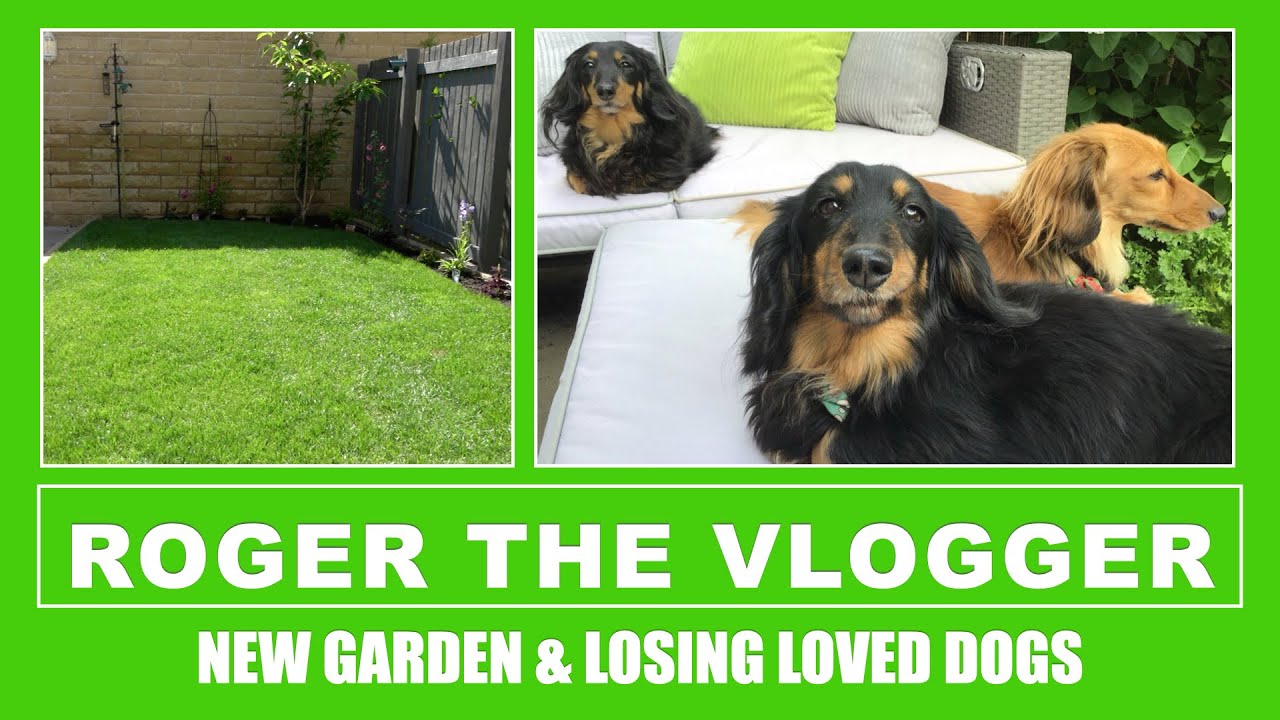 New Garden Reveal & Sad Doggie News