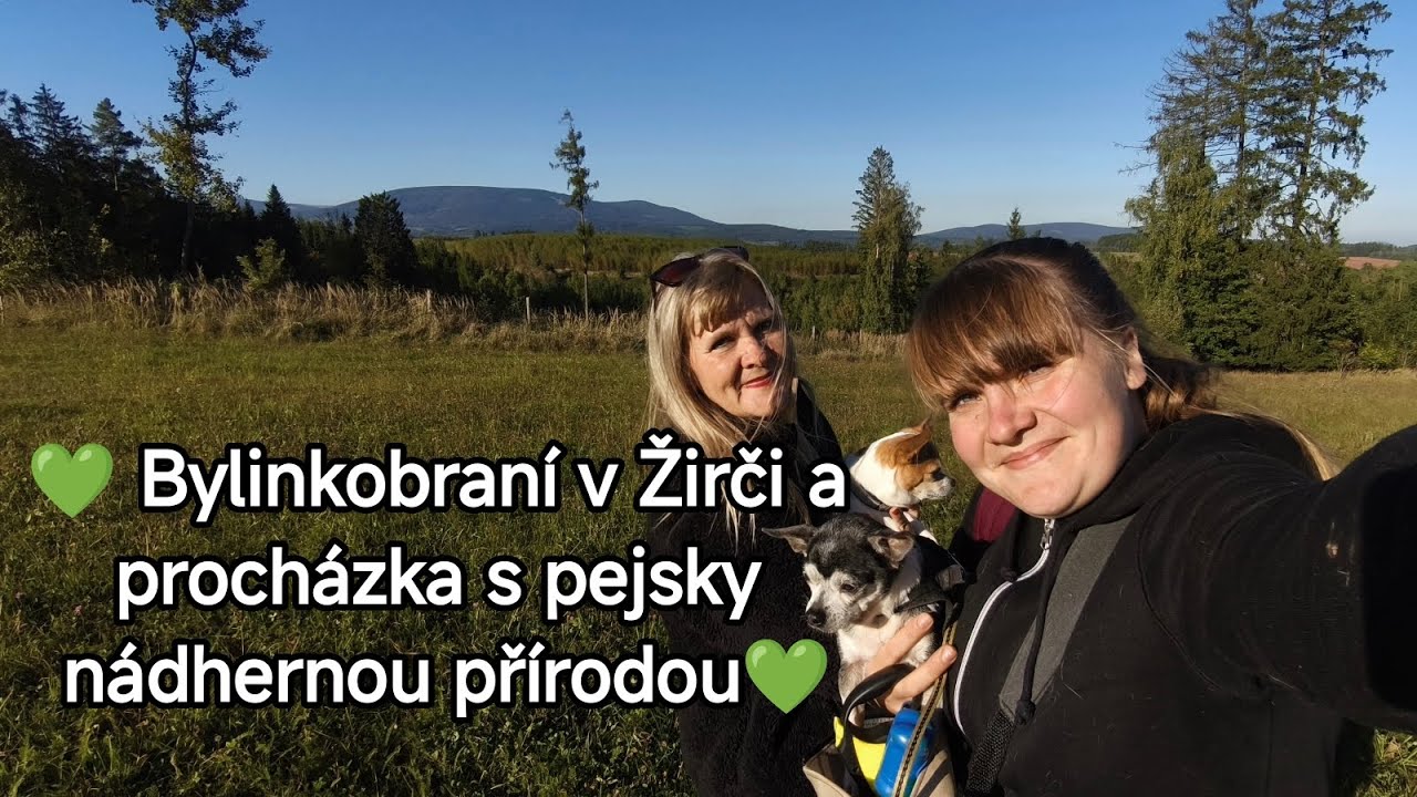 💚 Bylinkobraní v Žirči a procházka s pejsky nádhernou přírodou💚