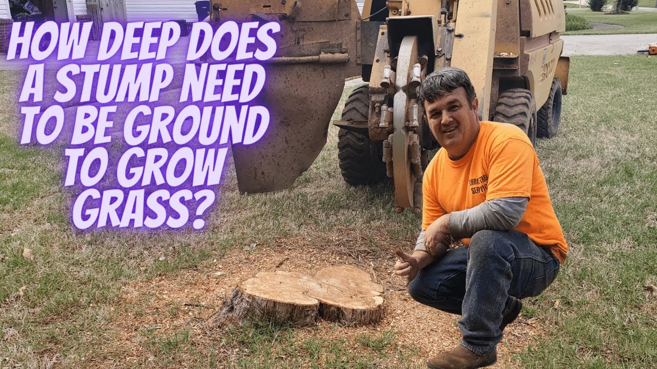 How deep does a stump need to be ground to grow grass?