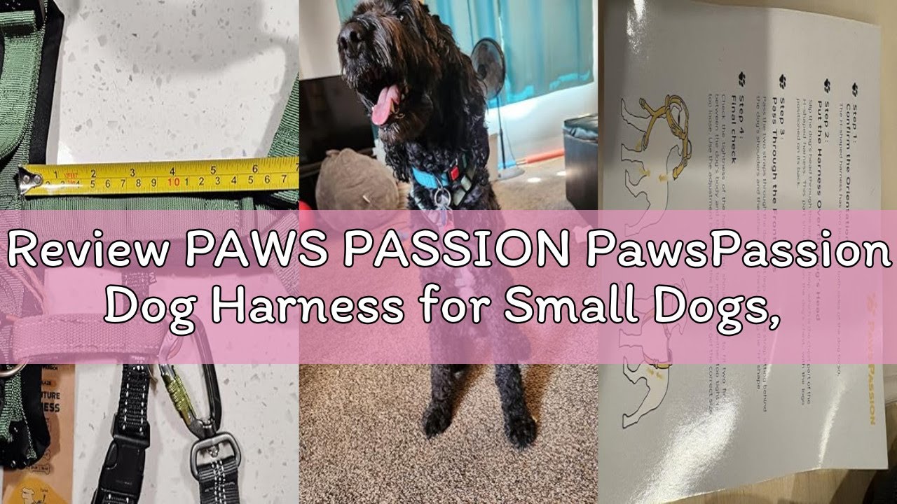 Review PAWS PASSION PawsPassion Dog Harness for Small Dogs, No Pull Dog Harness Easy Walk with Metal