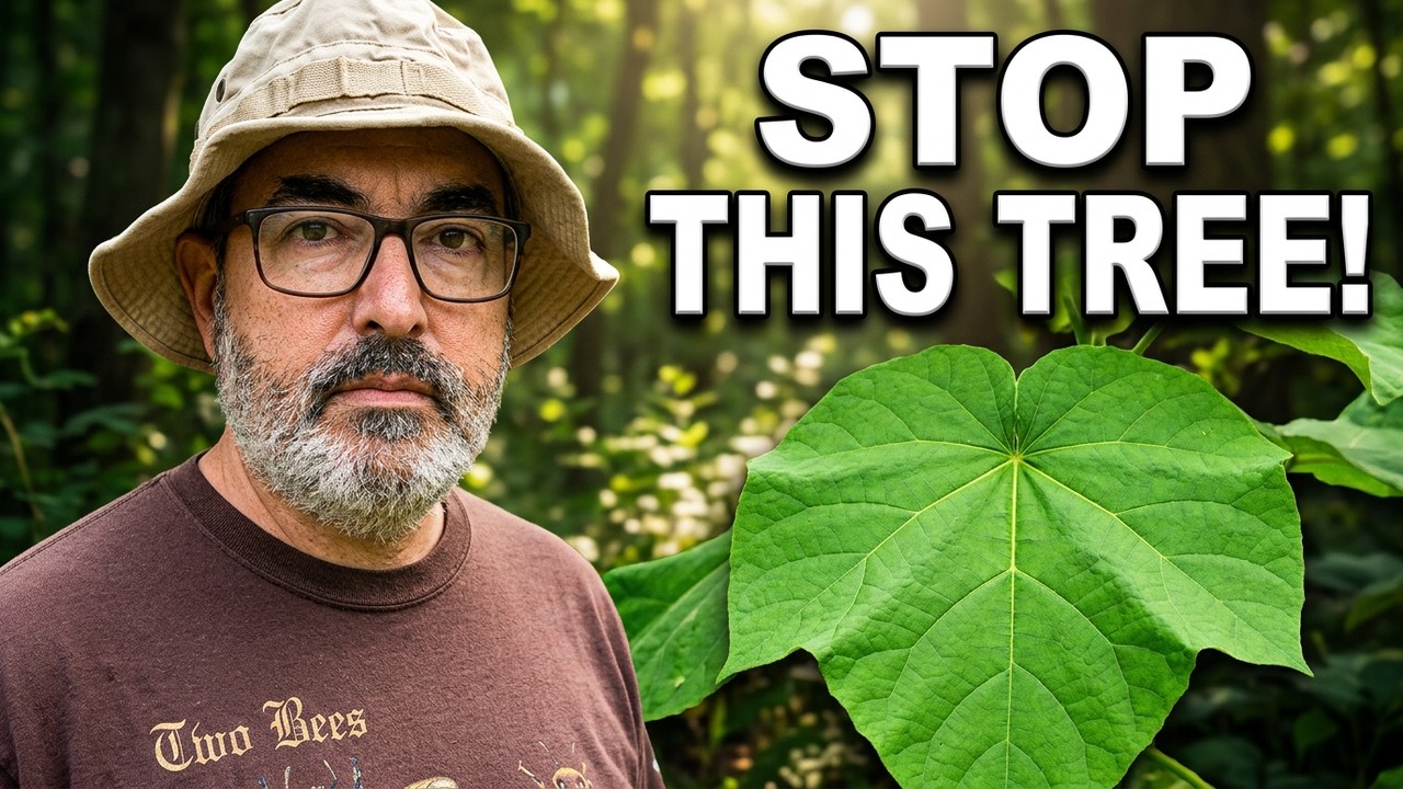 This Invasive Tree is Named After Russian Royalty!