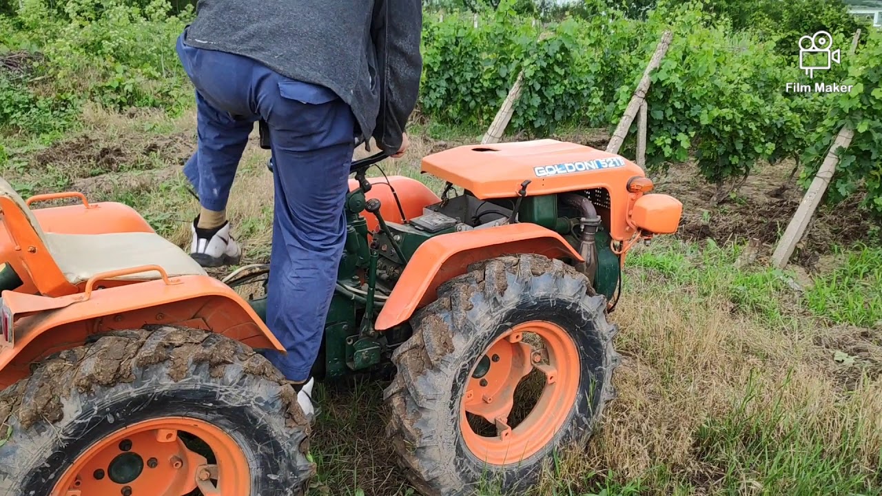 Goldoni 521 T în vie