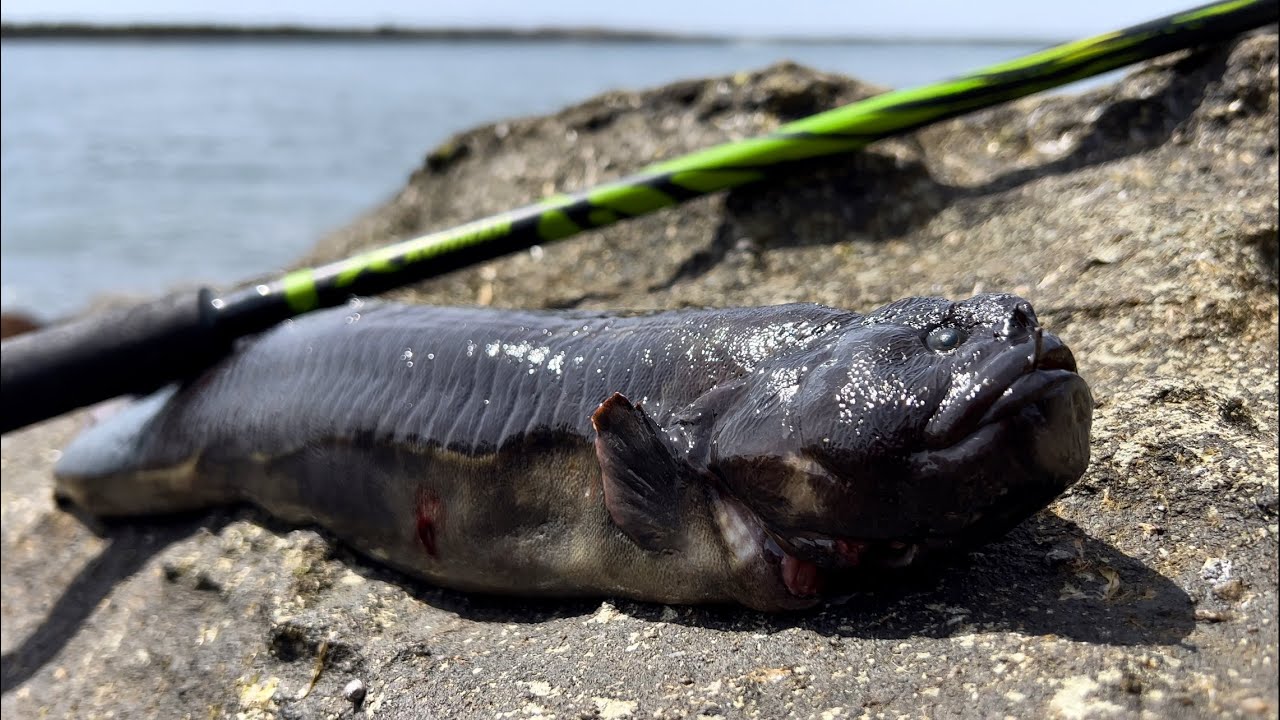 MAN OVERBOARD, SINKING BOAT - Poke Poling For Monkey Faced Eels & Rockfish On A Jetty