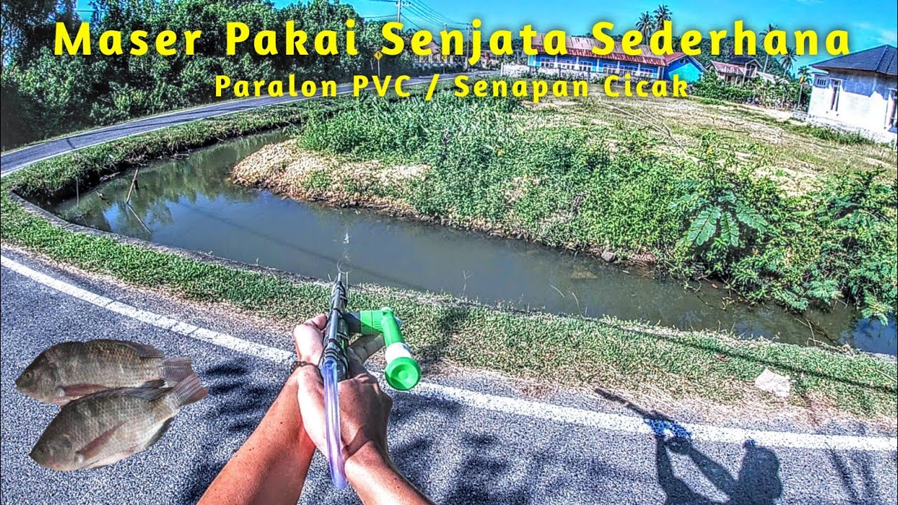 MASER IKAN DENGAN SENAPAN SEDERHANA | PASER PARALON | SENAPAN CICAK !!