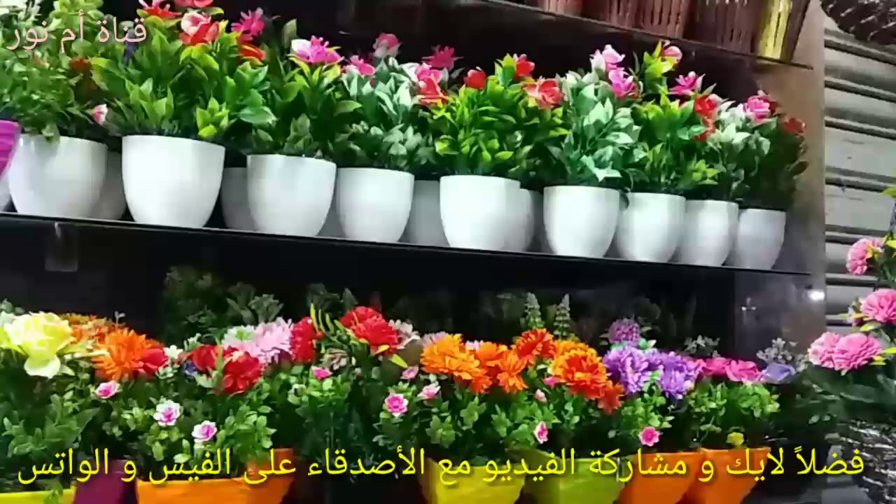ورد زينه لقناتك أو للمطبخ أو للبلكونه أو أى ركن فى البيت#قناة_أم_نور