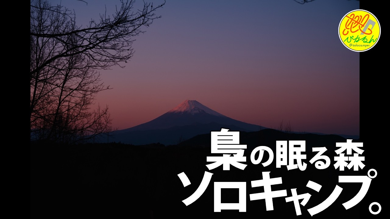 【ソロキャンプ】#255 梟が守る森で過ごす静かな時間CAMP BEAN Vol.2