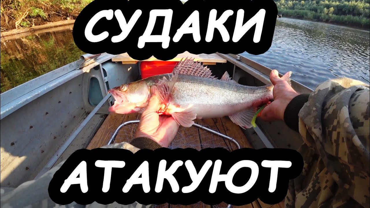 Рыбалка на судака | Сузунский район | Заломная | Не город TV