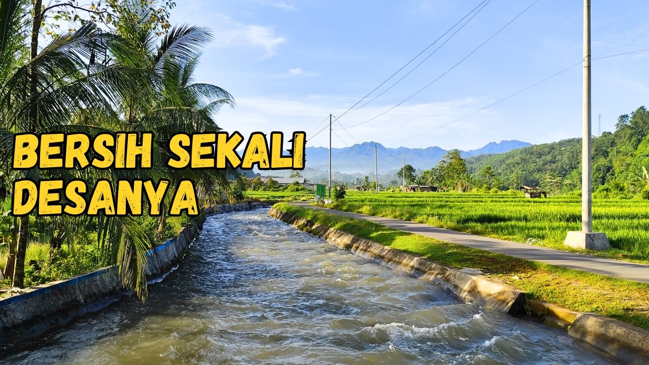 TERNYATA Beneran Ada Desa Seperti ini! Sungai, Sawah, dan Bersih sekali