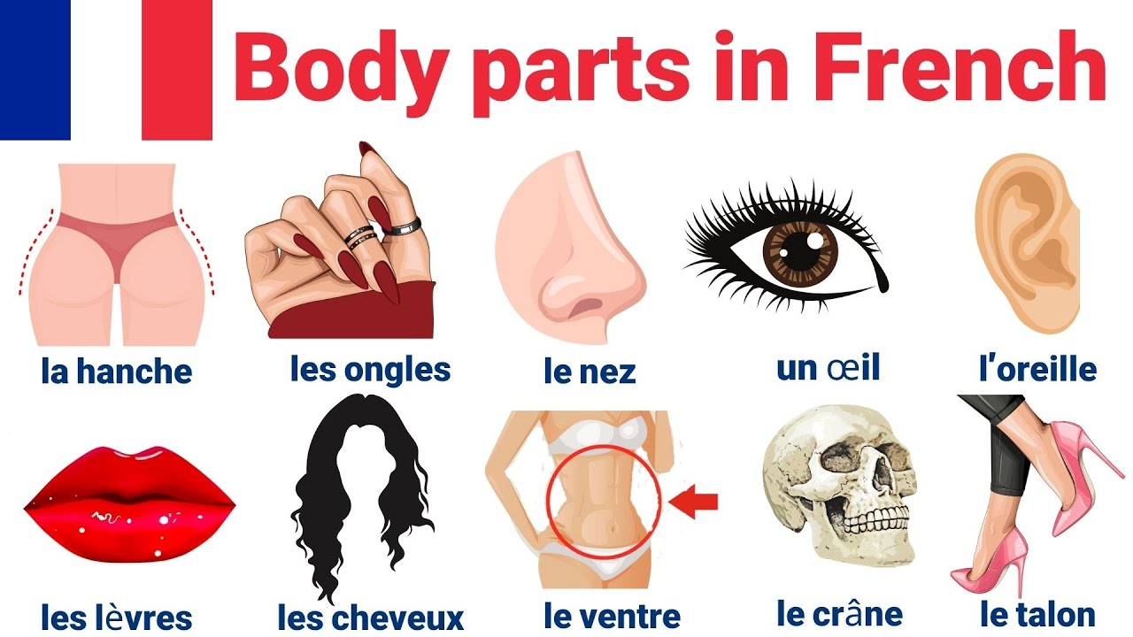 Learn BODY PARTS in French with a Medical Expert's Top Tips | Learn French Body Parts
