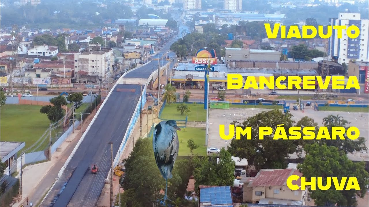 BANCRÉVEA: Um vôo tranquilo... VIADUTO, PÁSSARO, CHUVA....