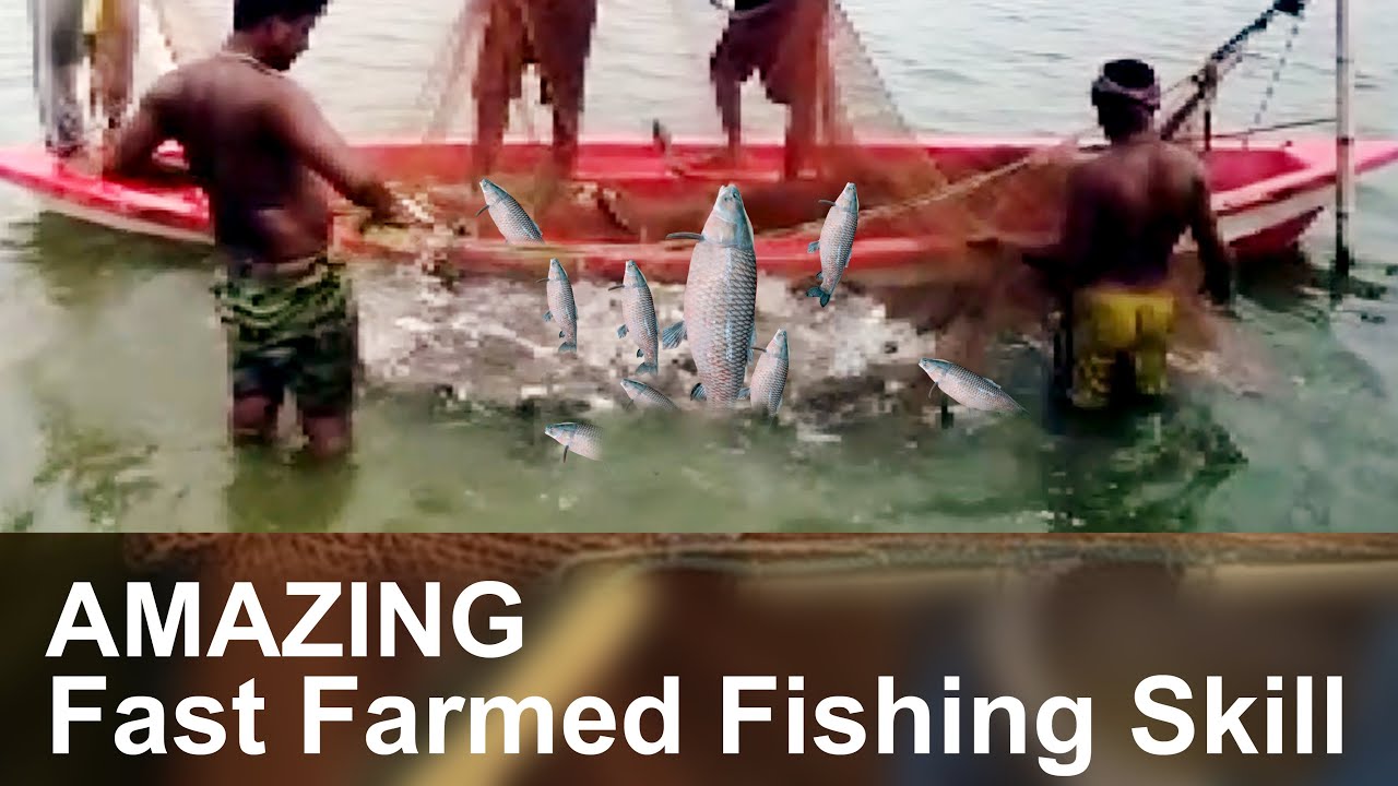 Amazing Fast Farmed Fishing Skill