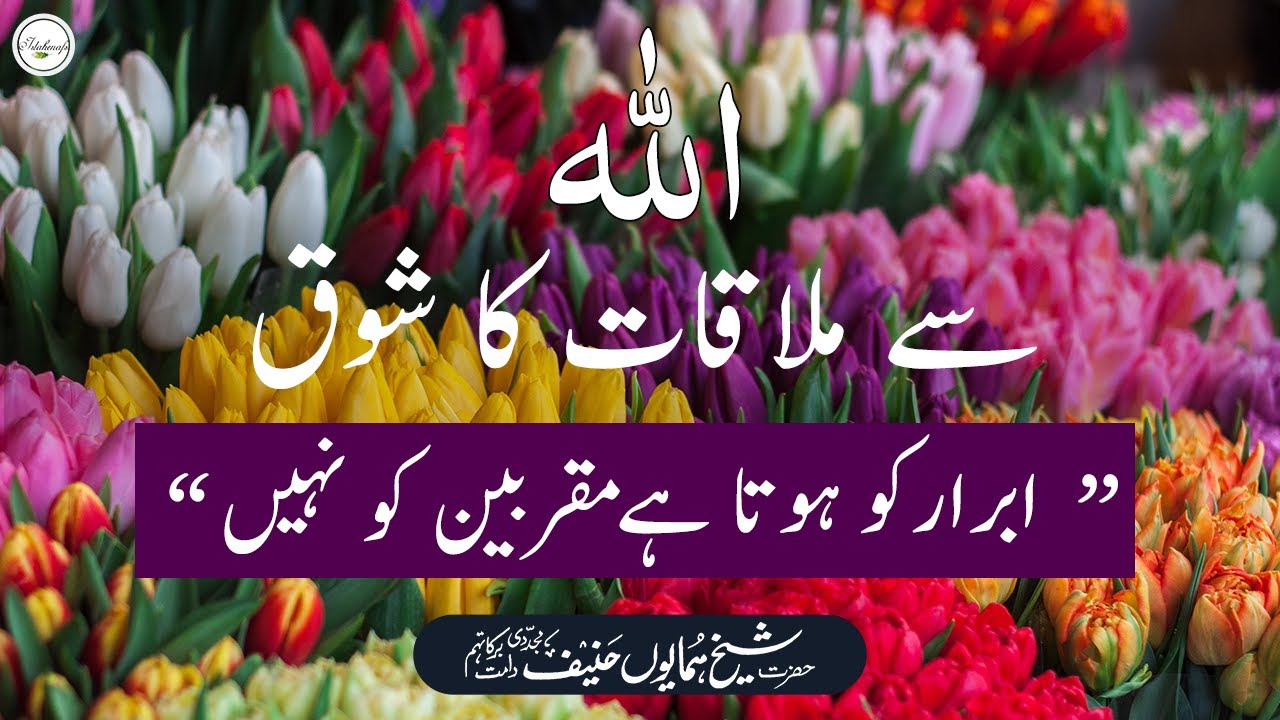 Tashreeh : Allah say Milnay ka Shoq Muqarrabeen ko Nahi? | Shaykh Humayun Hanif Naqshbandi Mujaddidi