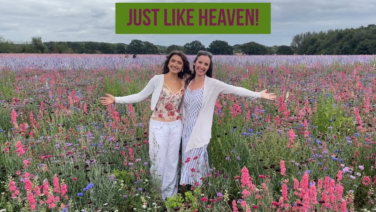 A Visit to Shropshire Petal Fields