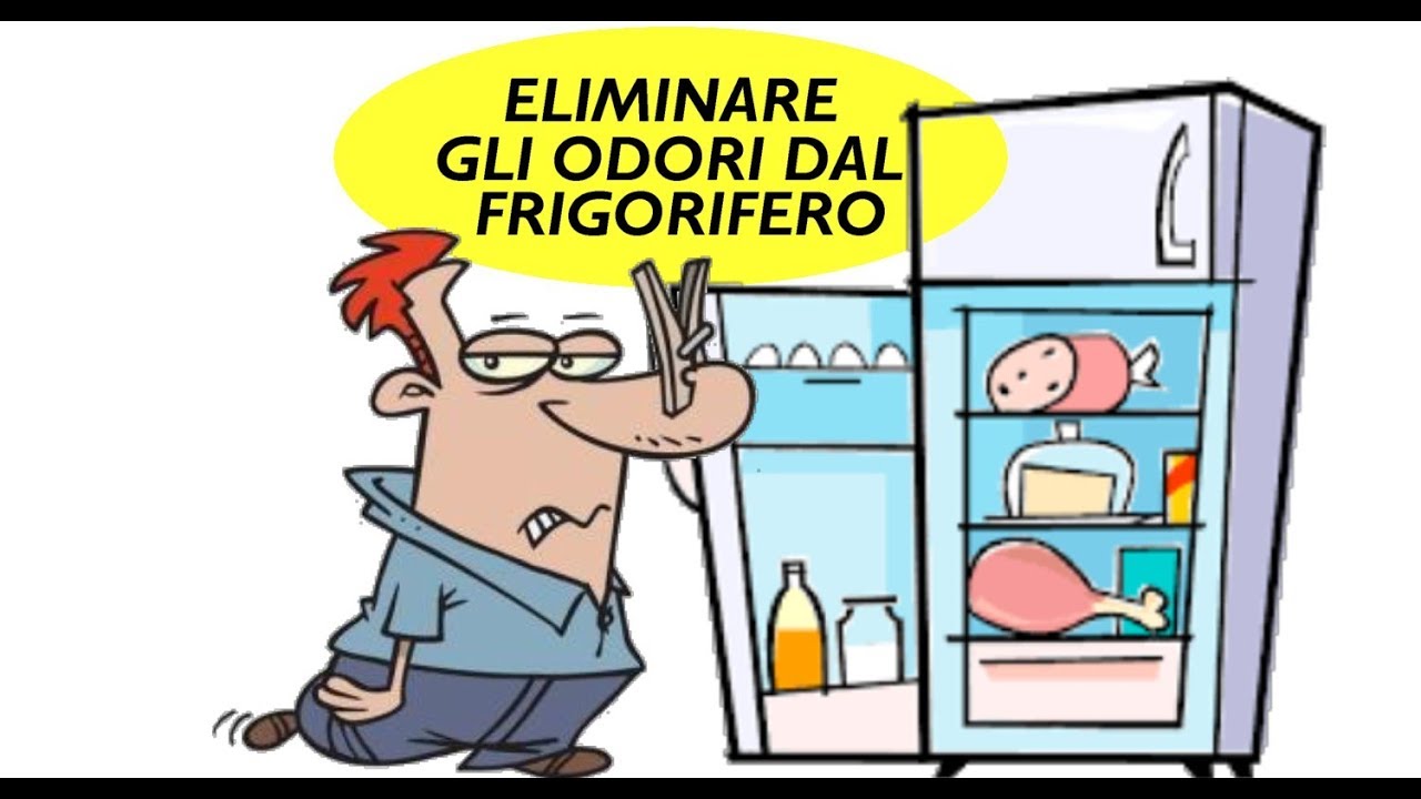 ELIMINARE ODORI DAL FRIGORIFERO