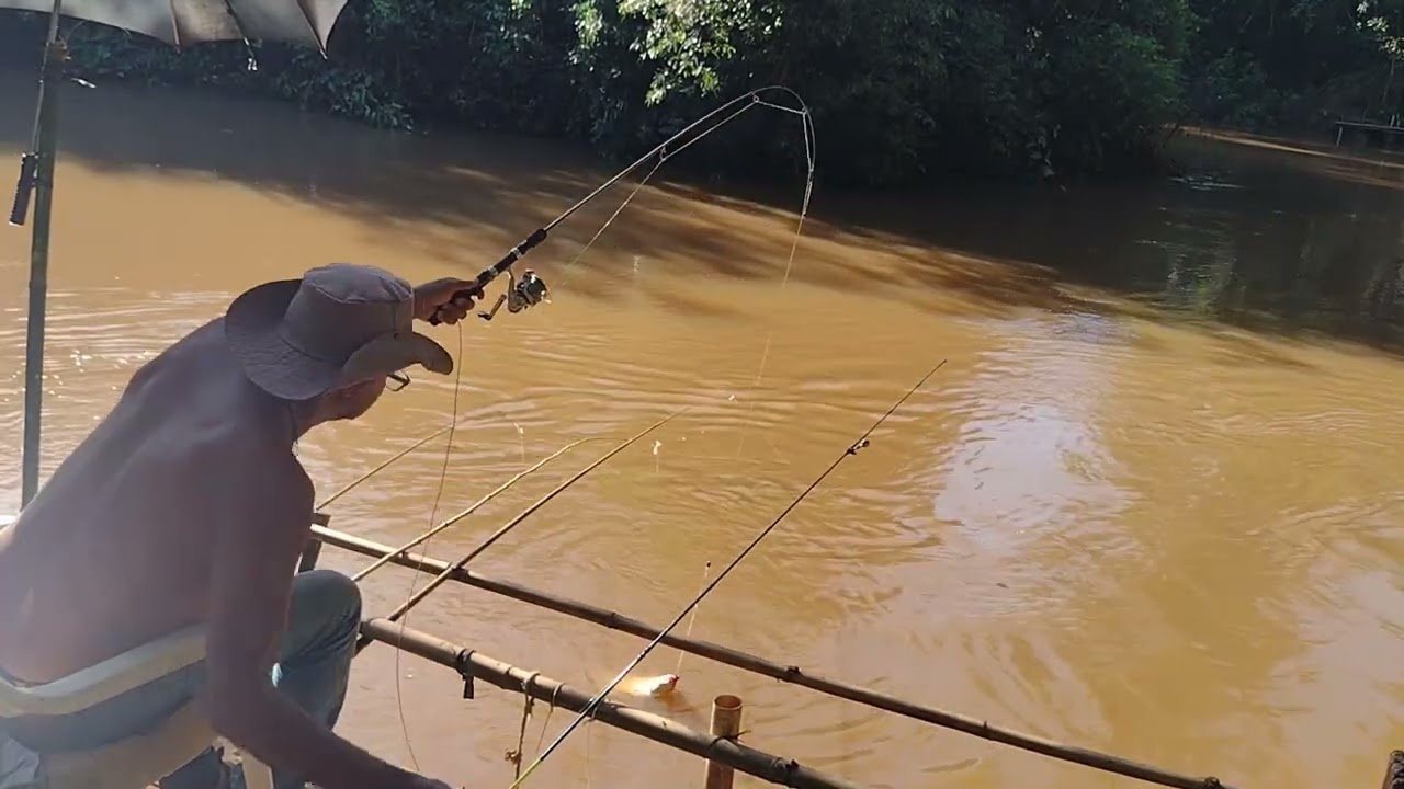 Rio cheio e sujo também pega peixe