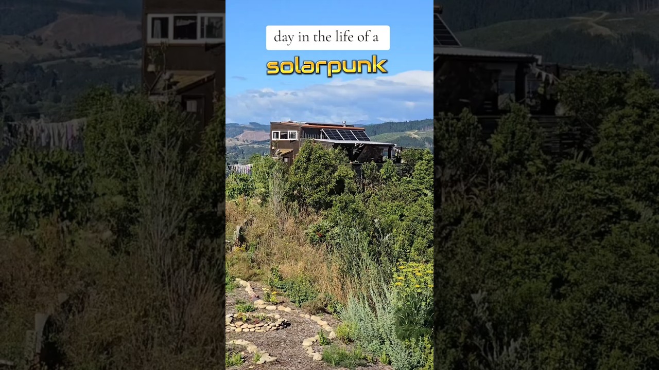 A day in the life of a little solarpunk in rural New Zealand