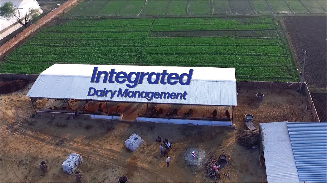 Integrated Dairy Management