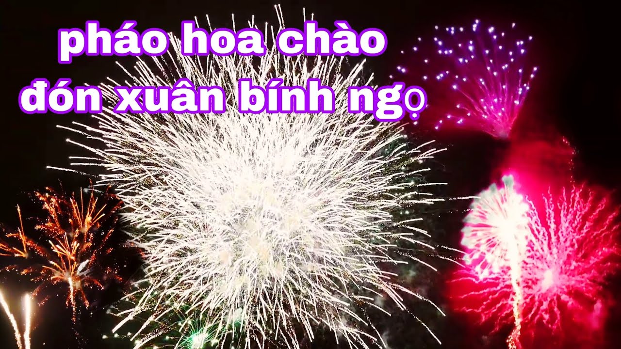 Bà con đổ về xả trưởng xuân chim ngưỡng pháo hoa chào đón xuân Bính ngọ 