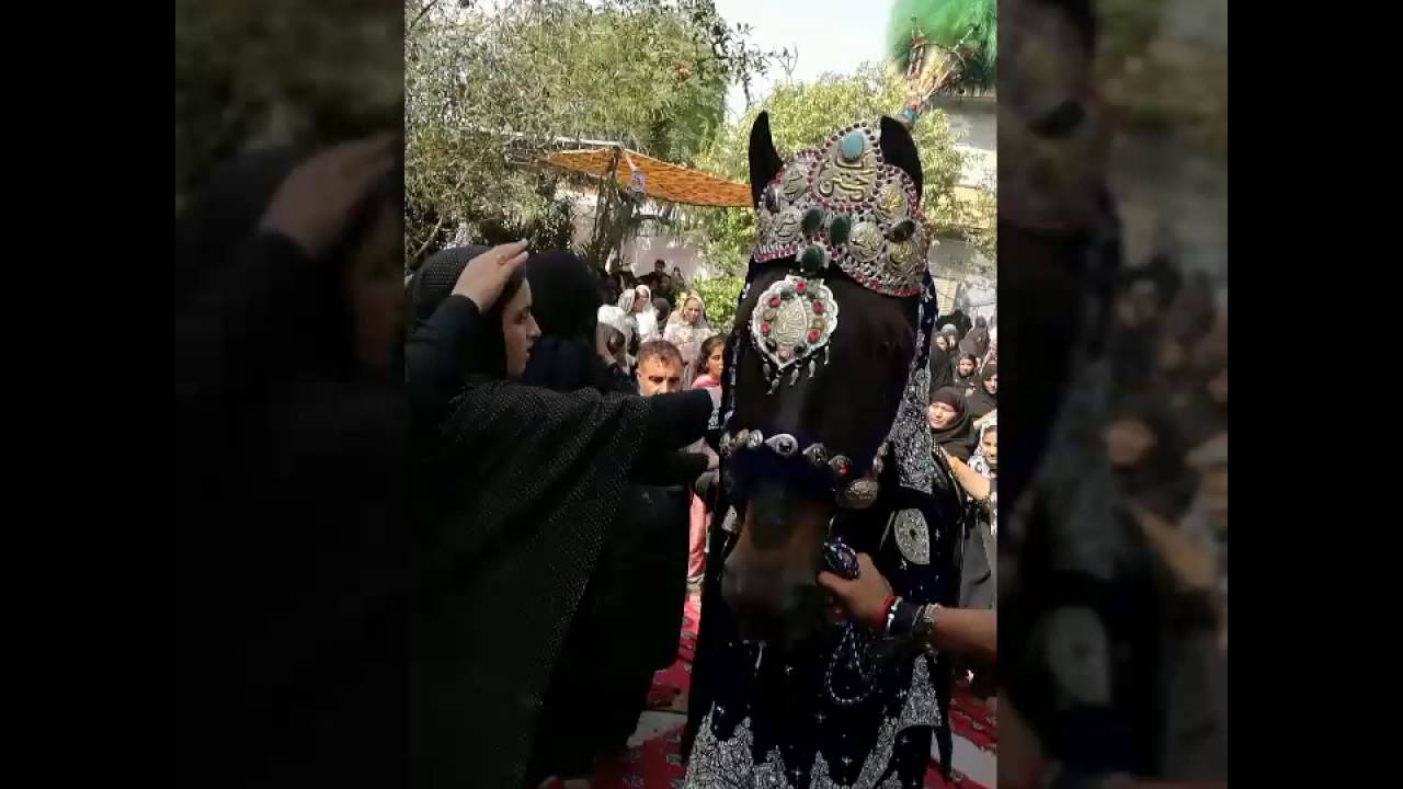 Taxila 10th Moharram Shabeeh e Zuljinah